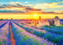 Fresh Beginnings