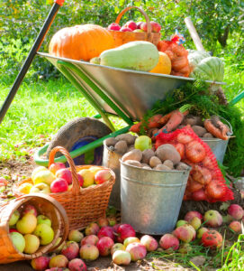 Fresh Harvest Jigsaw Puzzle