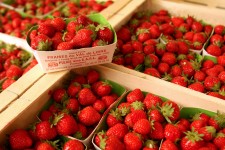 Fresh Strawberries