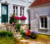 Front Steps Flowers