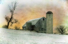 Frosty Barn