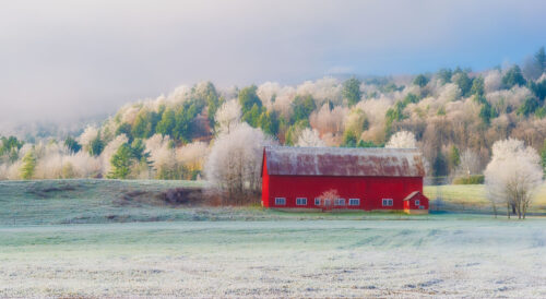 Frosty Meadow Jigsaw Puzzle