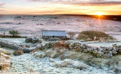 Frosty Vale