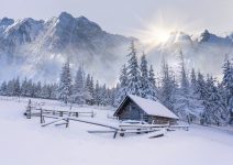 Frozen Cabin