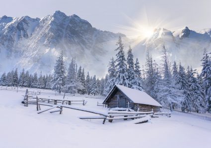 Frozen Cabin Jigsaw Puzzle