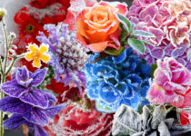 Frozen Flowers