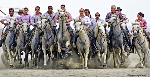 Galloping Horses Jigsaw Puzzle