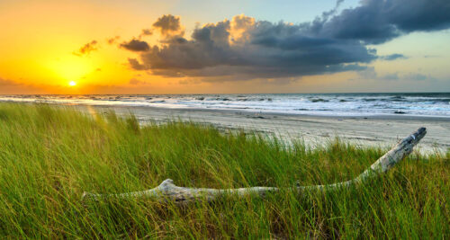 Galveston Beach Jigsaw Puzzle