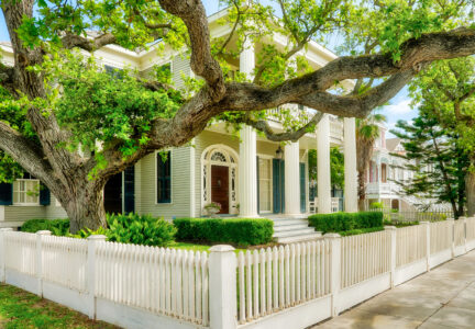 Galveston Home Jigsaw Puzzle
