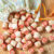Game Pieces Jigsaw Puzzle