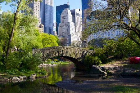 Gapstow Bridge Jigsaw Puzzle