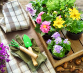 Garden Apron and Gloves