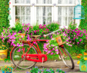 Garden Bike