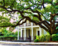 Garden District House