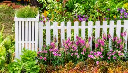 Garden Fence