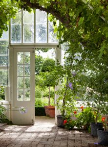 Garden Greenhouse Jigsaw Puzzle