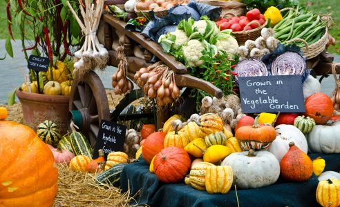 Garden Harvest Jigsaw Puzzle