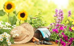 Garden Hat and Tools