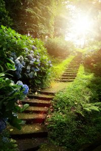 Garden Path Jigsaw Puzzle
