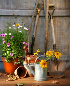 Garden Pots Jigsaw Puzzle