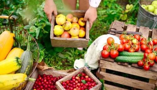 Garden Produce Jigsaw Puzzle