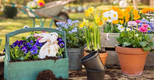 Garden Rabbit Jigsaw Puzzle