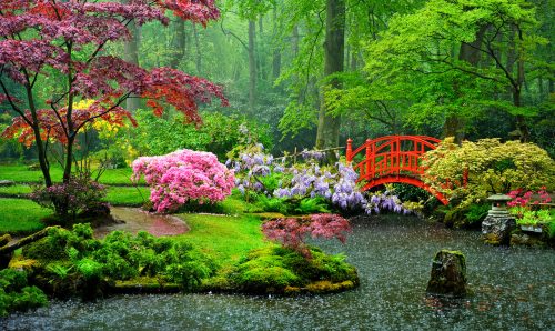 Garden Rain Jigsaw Puzzle