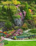 Garden Staircase