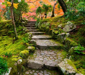 Garden Stairs Jigsaw Puzzle