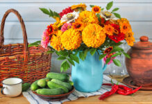 Garden Still Life Jigsaw Puzzle
