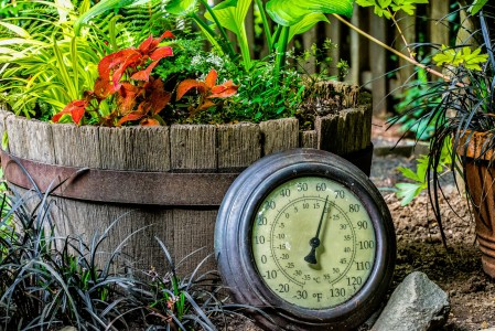 Garden Thermometer Jigsaw Puzzle