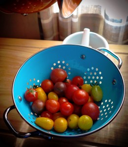 Garden Tomatoes Jigsaw Puzzle