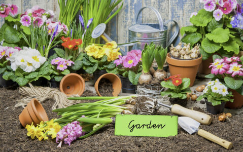 Gardening Tools Jigsaw Puzzle