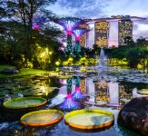 Gardens by the Bay