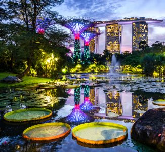 Gardens by the Bay Jigsaw Puzzle