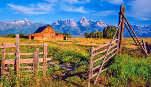 Gate and Barn Jigsaw Puzzle