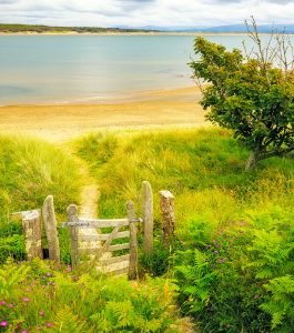 Gated Beach Trail Jigsaw Puzzle