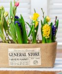 General Store Flowers