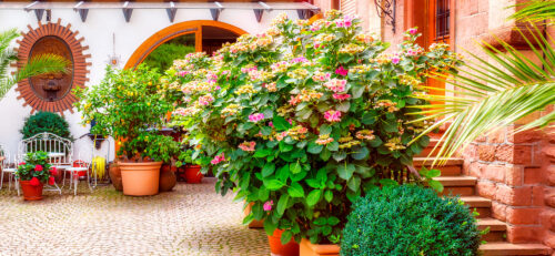 German Courtyard Jigsaw Puzzle