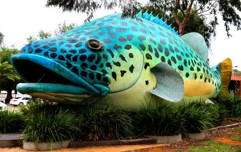 Giant Fish Jigsaw Puzzle