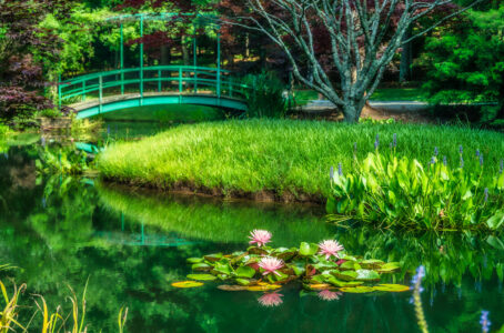 Gibbs Pond Jigsaw Puzzle