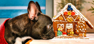 Gingerbread Mischief