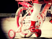 Girl and Bike