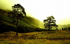 Glen Nevis