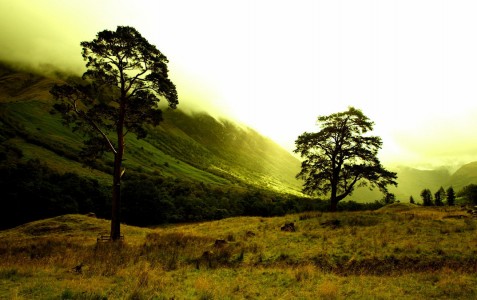 Glen Nevis Jigsaw Puzzle