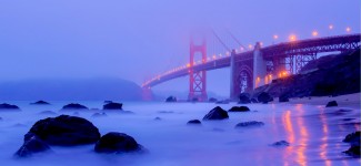 Golden Gate Fog