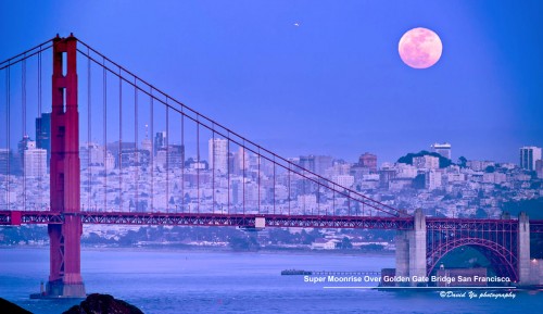 Golden Gate Moonrise Jigsaw Puzzle