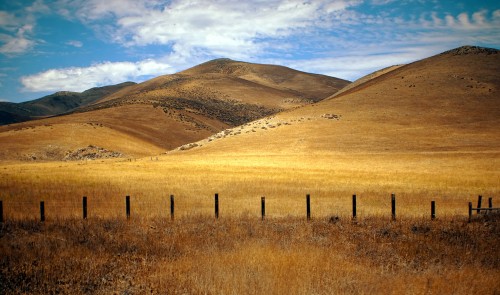 Golden Peaks Jigsaw Puzzle