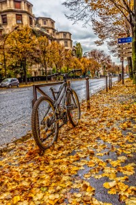 Golden Sidewalk Jigsaw Puzzle