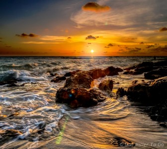 Golden Surf Jigsaw Puzzle